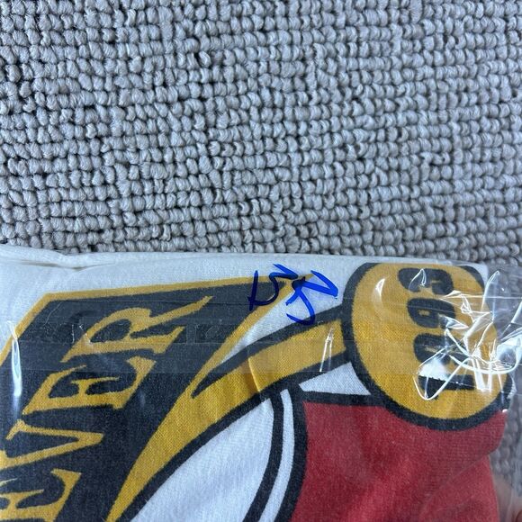 VTG NBA Chicago Bulls 1996 Greatest Team Ever Championship Men’s Large - Picture 12 of 12